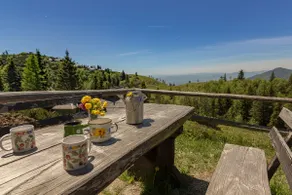 To Fall In Love - Chalet Zlatica - Velika Planina - Image 5