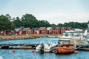 Summer idyll near the sea - Image 4
