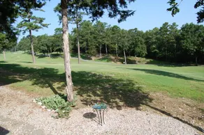 Private Luxury King Suite Apt w/Golf view - Image 2