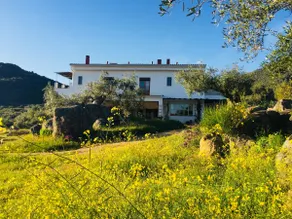 Flores Amarillas Farm - Image 4