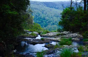 FernyBrook Cottage, Springbrook, Qld, Australia. - Image 3
