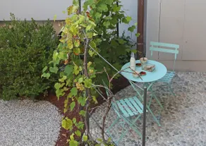 Dos del Sul - Image 5