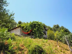 Pelion mountain lodge - Image 4
