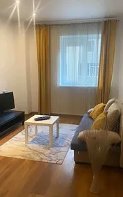 DMT Extraordinary apartment in Rin Grand complex - Image 4