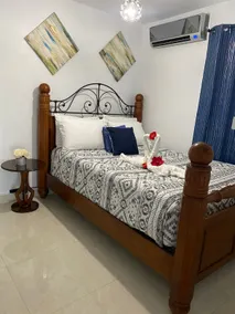 Apt 12 min from beaches, 20 min (SJU) by car - Image 2