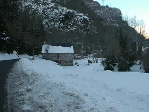 Cottage surrounded by nature - Image 5