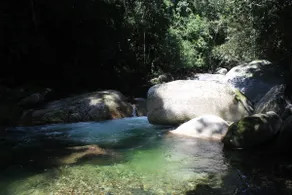 Namaste Jungle Paradise - Image 5