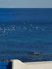 Villa ASPIS - Image 3