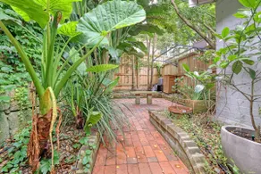 Super Cute Cottage in Sydney Harbour Suburb - Image 4