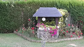 AU BONHEUR - Image 5