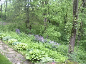 Boulder Creek - Image 2