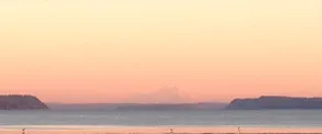 Camano Island Beach Cabin - Image 2