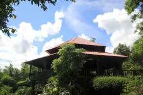 Tafelberg detached bungalow with swimming pool - Image 5