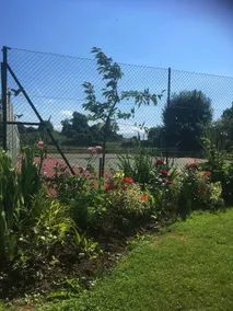 Fenny Castle- Beautiful cottages with tennis court - Image 2