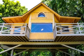 Bird's Nest Tree House-3.5 miles toTurner Falls! - Image 5