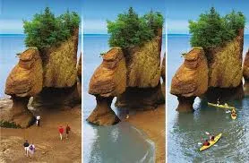 Fundy View - Image 2