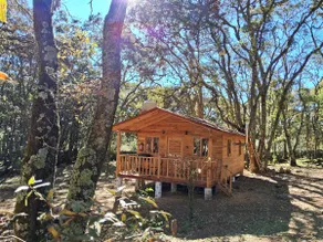 Private Nature Getaway - Forest Cabin - Image 4