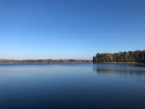 Real Finnish nature close to Helsinki - Image 2