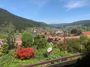 Apartment with great views over the Murg Valley - Image 2