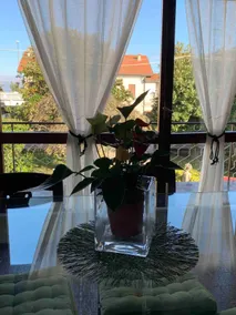 Villa Gabri 1- Spacious, terrace, park, parking - Image 3