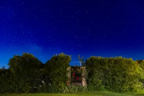 Manuela's Garden - Image 4