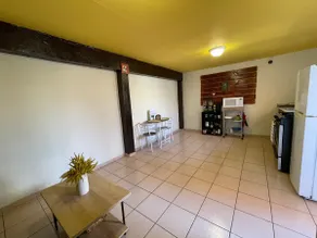 The Tree House - Image 5