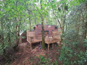 Shrew Lodge-woodland Lodges-Hot Tub-Pembrokeshire-Tenby - Image 5