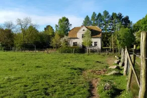 Hoher Fläming Nature Park: Villa Arensnest + yoga room - Image 2