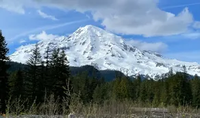 River access @ Mt. Rainier w/ Hot tub & Fireplace - Image 4