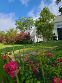 Twin Ponds Waterfront Guest house - Image 4