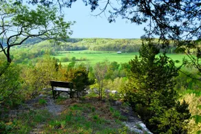 Secluded cottage overlooking scenic Ozark River - Image 3