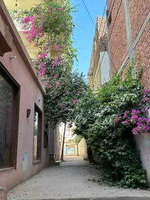 Private & Charming 2BR in Harmony House -Nile View - Image 4