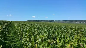 ”Le clos de Renée” Gîte - Image 5