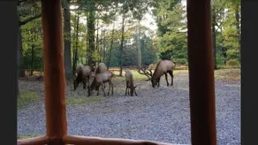 Rocky Timber Lodge - Cozy yet Spacious - Image 3