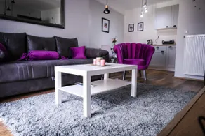 Filip Lux Apartment 1 - Image 2