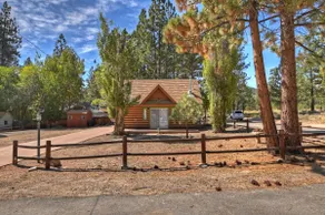 Brother Bear Cabin - Image 5