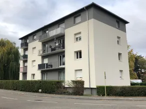F1 avec Terrasse, 5 min de Colmar, vignoble et free parking - Image 3
