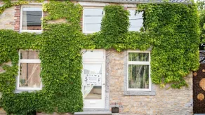 Welcome to our Forestine home - Image 4