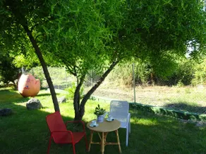 House with pool in Gredos for up to 10 people. - Image 4