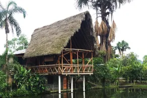 Coati Lodge Misahualli - Image 5