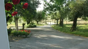 Quinta da Queimada - Image 3