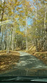 Mountain View Vacation Home - Image 2