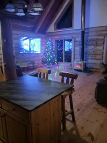 Beautiful Real log home on the Olentangy River - Image 2