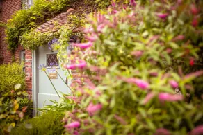 Chocolate-box pretty Pear Tree Cottage in South Downs village - Image 4