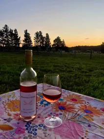 The Vigneron's Cottage at Dragonfly Estate Vineyard - Stanthorpe - Image 3