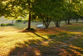 Agriturismo La Pieve - Image 4