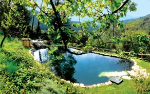 Cevennes, natural swimming pool, charm, exception - Image 2