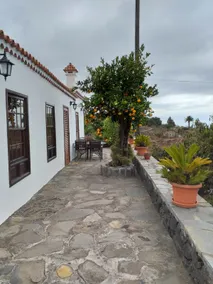 El Naranjo Viejo House - Image 2