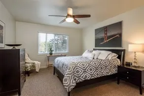 Beauty in San Carlos! 1 large bedroom apartment - Image 3