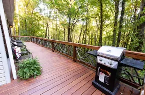Beautiful Mountain Home-Pets! - Image 3